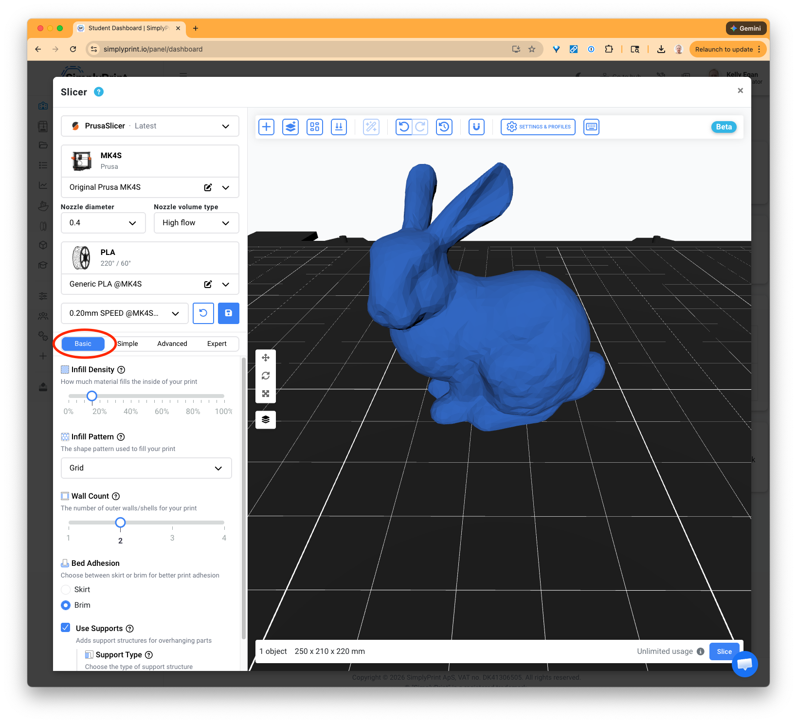 Screenshot of the slicing window with Basic settings selected